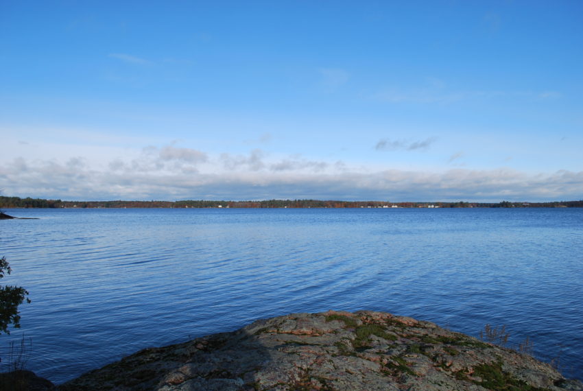 DSC_0008